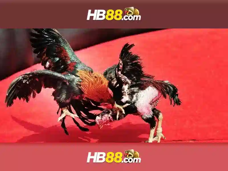 Hb88: Tổng quan và đánh giá nền tảng cược trực tuyến Giao diện nhà cái hoàn hảo