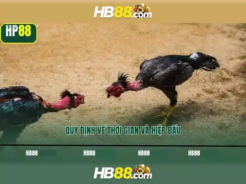 Giới thiệu về HB88