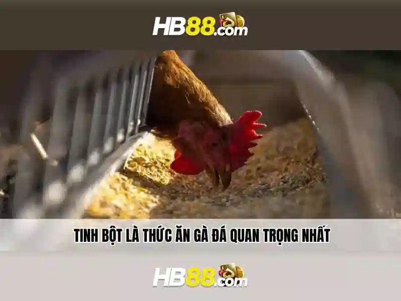 Lịch sử và nguồn gốc
