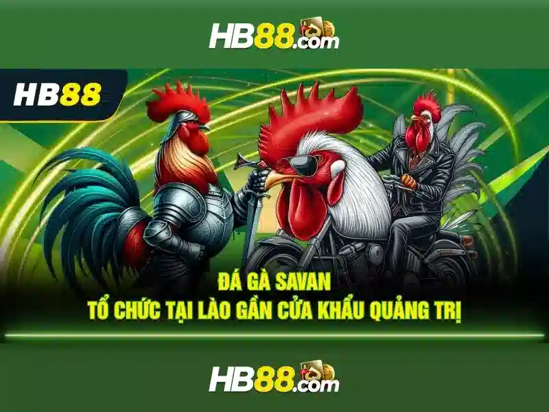 Giao diện nhà cái hoàn hảo