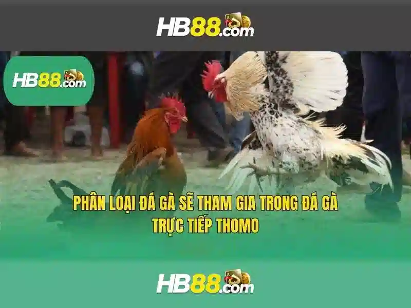 An toàn và quyền riêng tư
