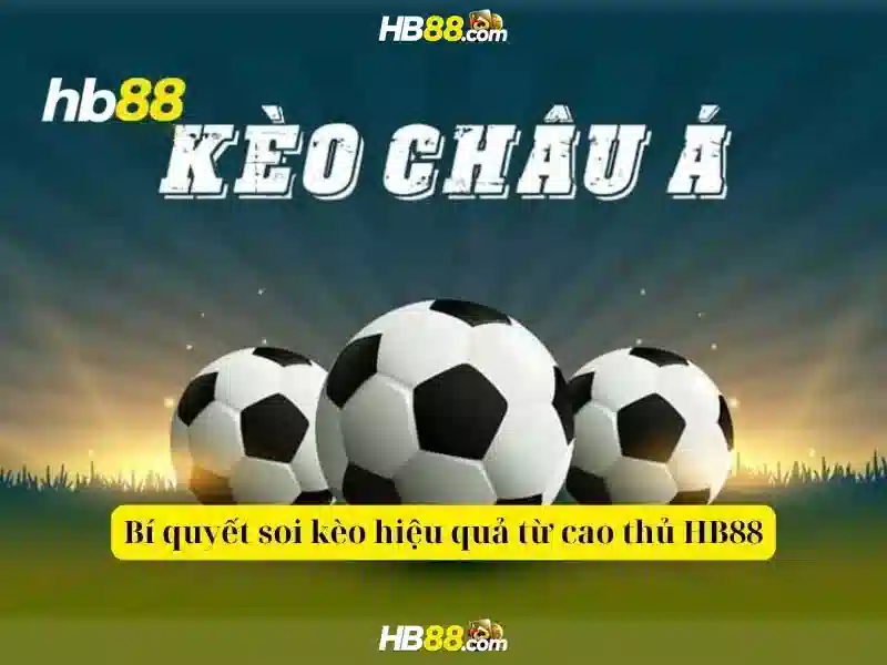 HB88 là gì?