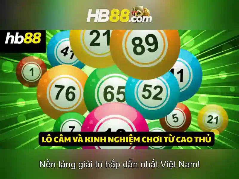 HB88 là gì?