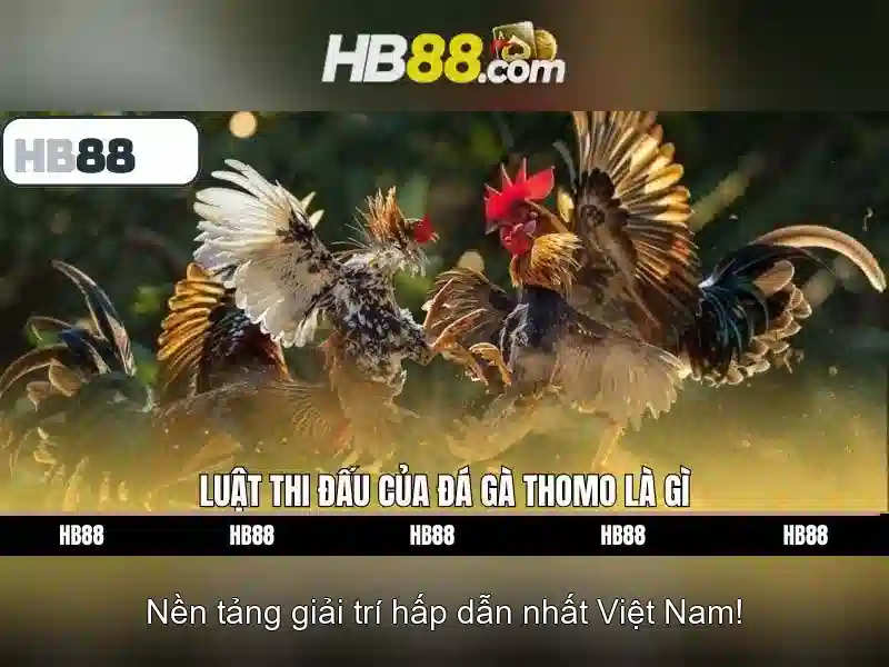 Các tính năng nổi bật