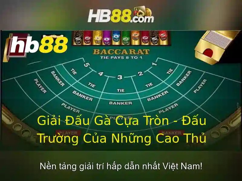Giao diện nhà cái hoàn hảo