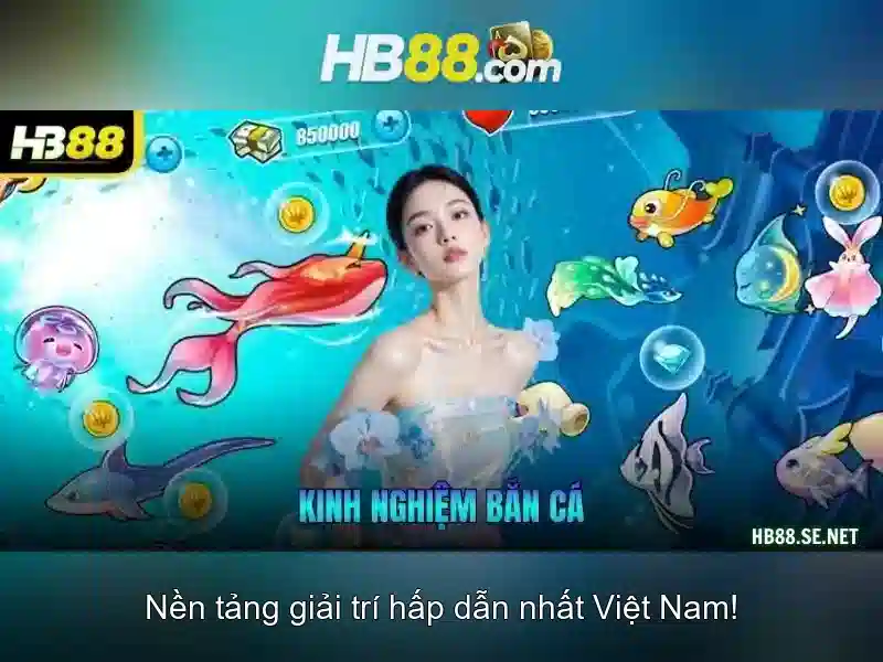 hb88 là gì