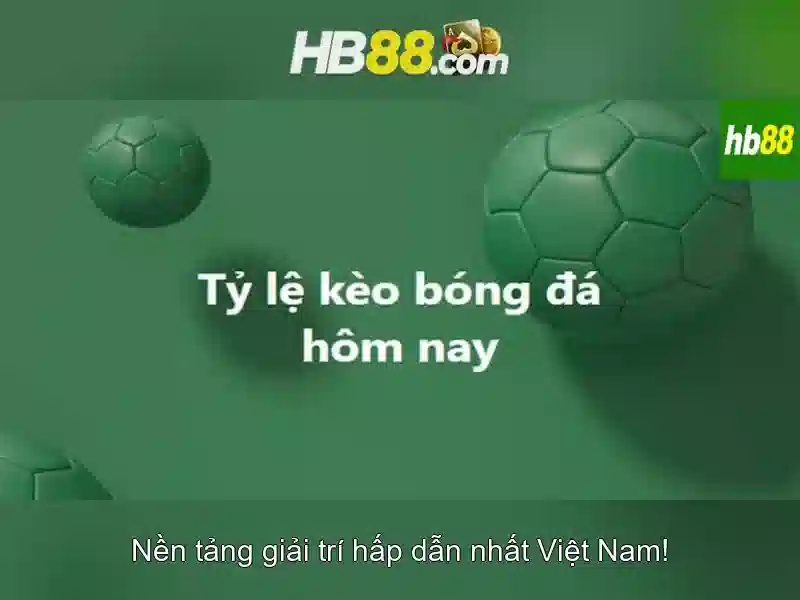 Nền tảng và trải nghiệm người dùng