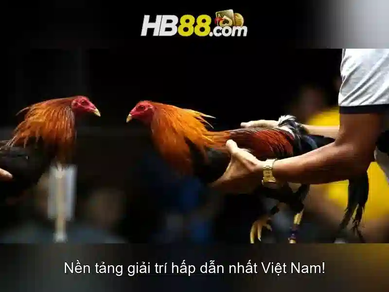 Trải nghiệm người dùng và cập nhật mới