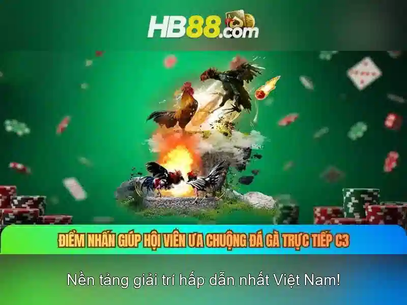 HB88 là gì?